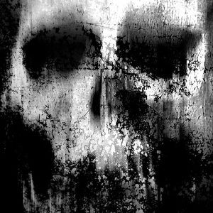 Meet your Posher, Krissie